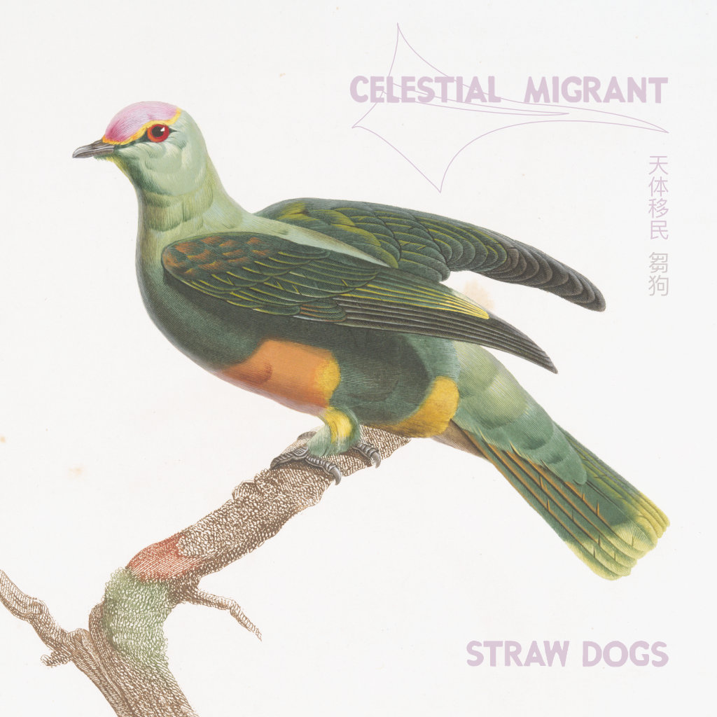 Straw Dogs album cover